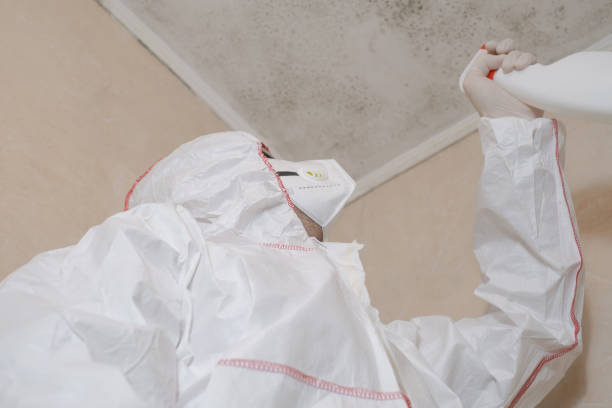 Best Residential Mold Removal  in Golden Glades, FL